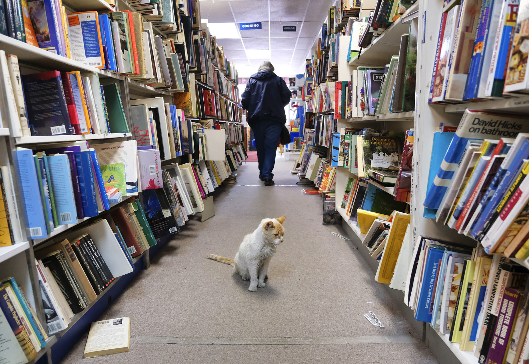 041118-nws-bookworm-2.jpg